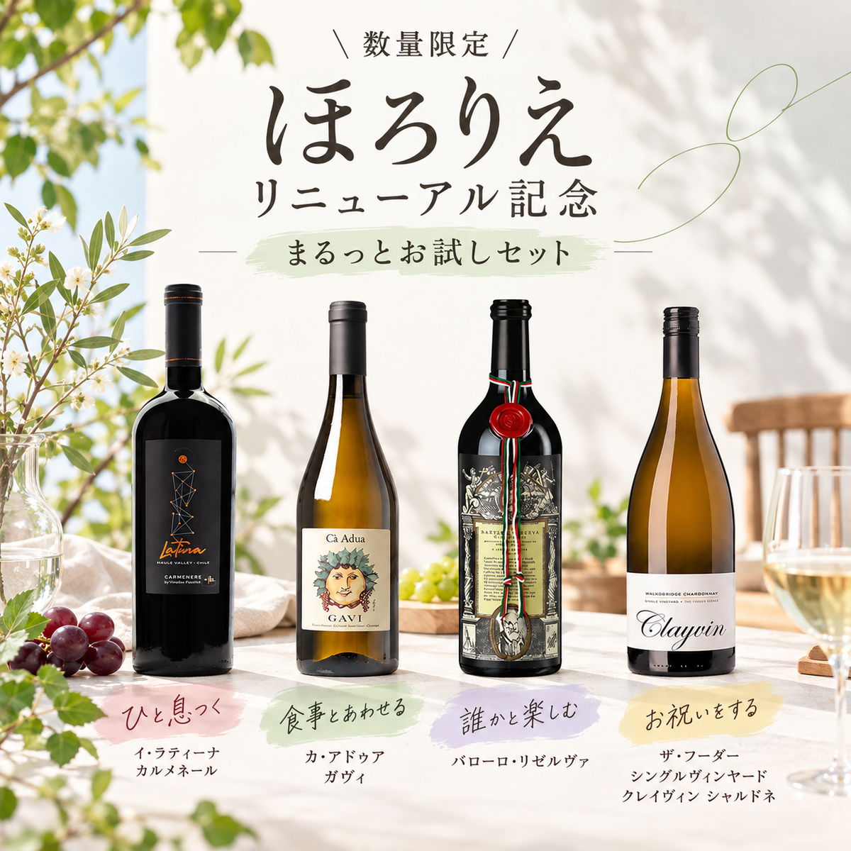 【数量限定】リニューアル記念！ほろりえまるっとお試しセット